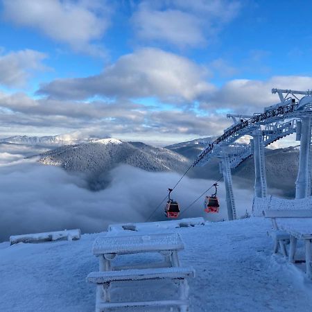 Ski View Studio - Near The Ski Slopes Azuga Luaran gambar