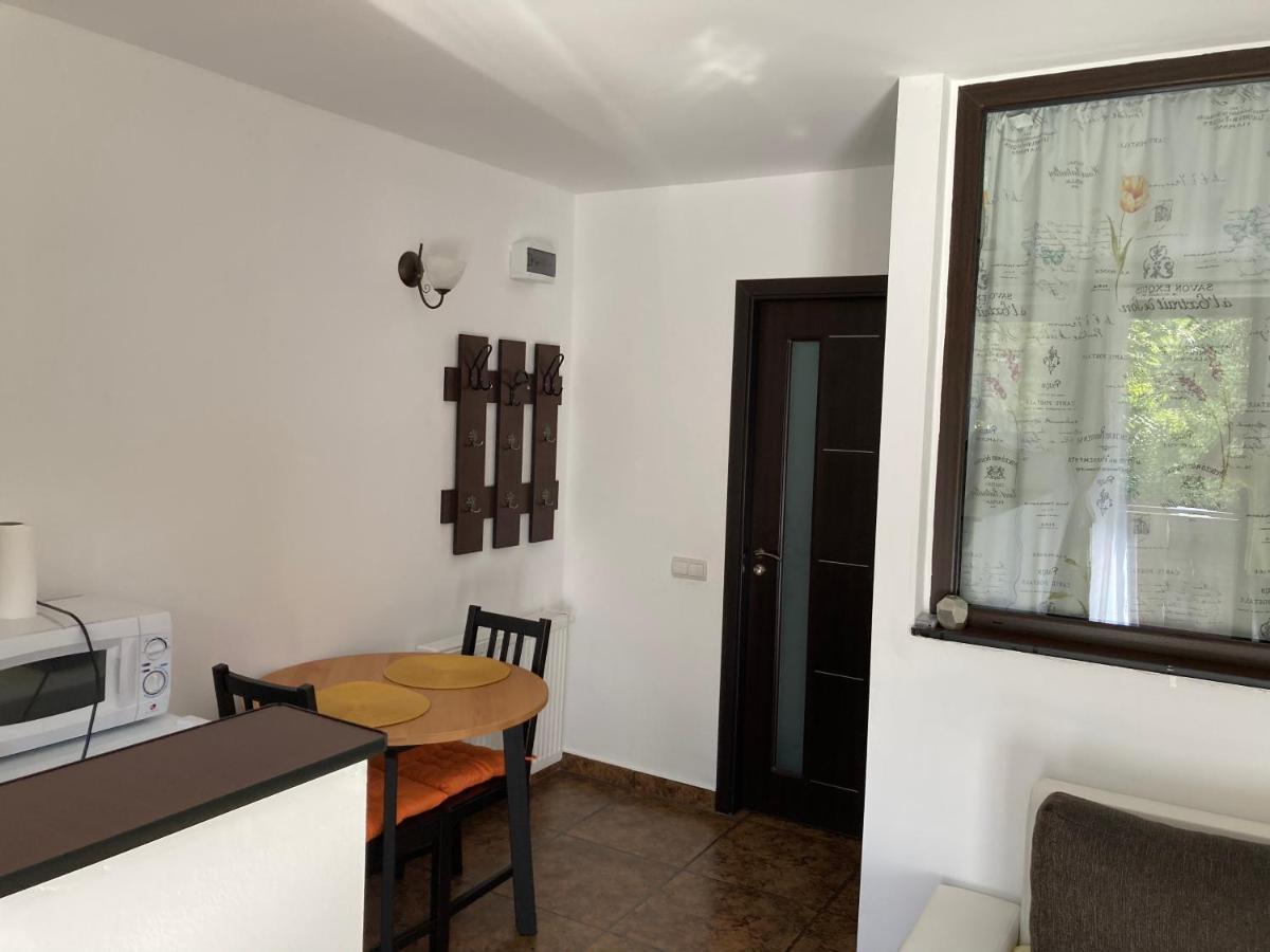 Ski View Studio - Near The Ski Slopes Azuga Luaran gambar