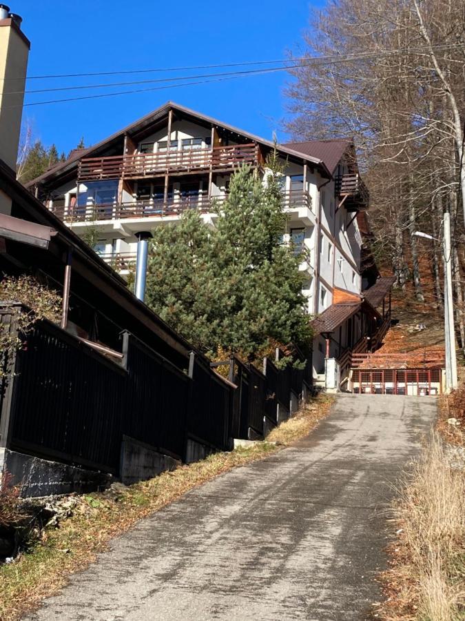 Ski View Studio - Near The Ski Slopes Azuga Luaran gambar