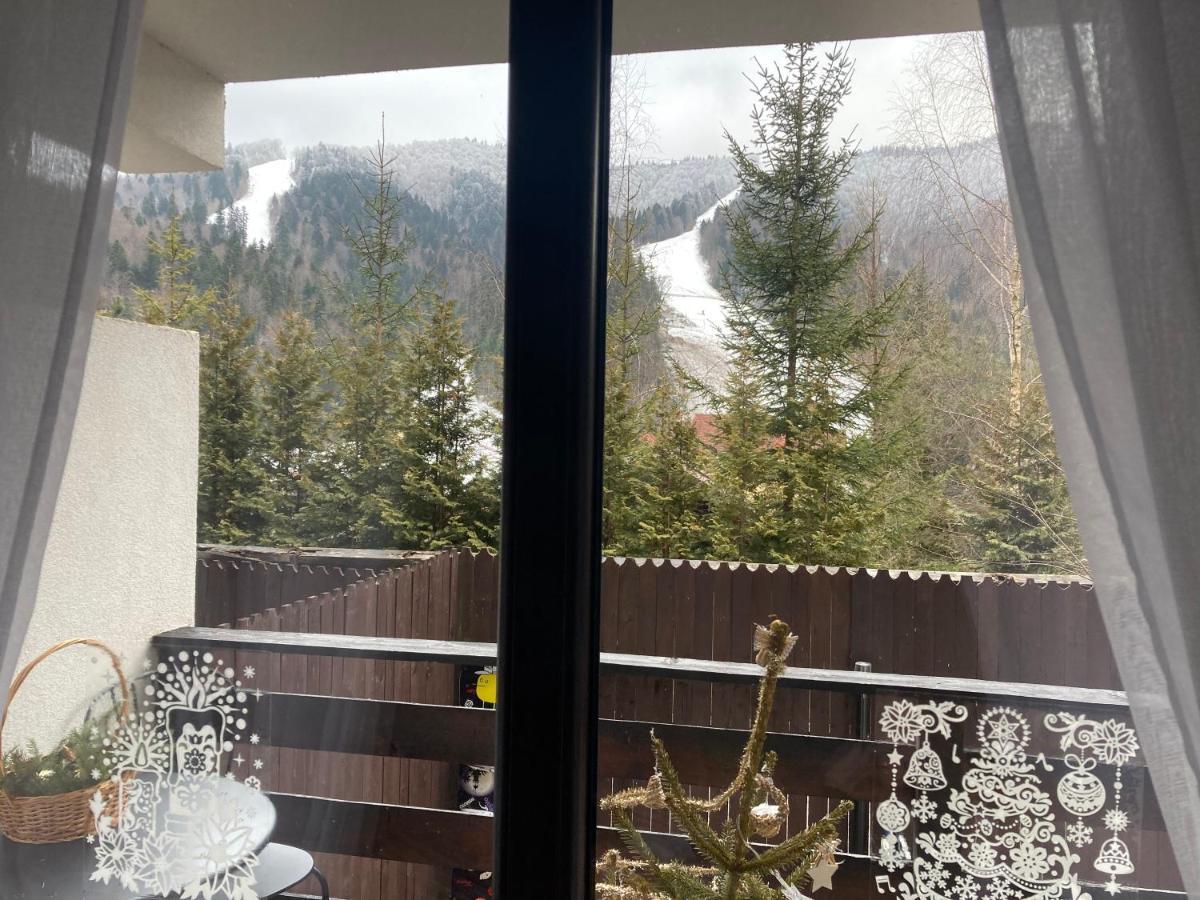 Ski View Studio - Near The Ski Slopes Azuga Luaran gambar